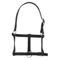 Licol foal Riding World Noir Licol foal Riding World Noir