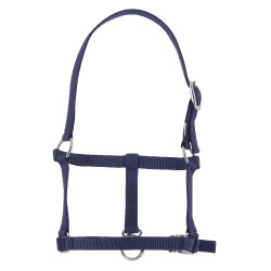 Licol foal Riding World Bleu marine
