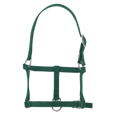 Licol foal Riding World Vert foncé