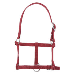 Licol foal Riding World Bordeaux