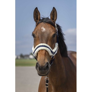 Licol Equithème Nylon Mouton Licol Equithème Nylon Mouton