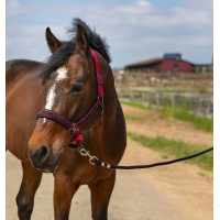 Licol Equithème Nylon Strass Bordeaux