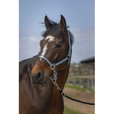 Licol Norton Nylon Soft Vert foncé