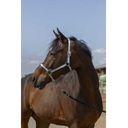 Licol Norton Nylon Soft Bleu marine Licol Norton Nylon Soft Bleu marine