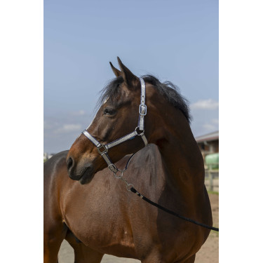 Licol Norton Nylon Soft Bleu marine Licol Norton Nylon Soft Bleu marine