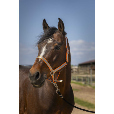 Licol Norton Nylon Soft Orange