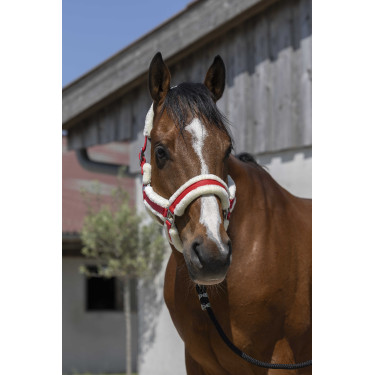 Licol Norton Cosy Rouge Licol Norton Cosy Rouge