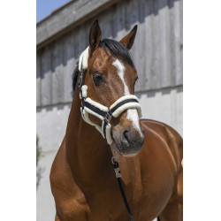 Licol Norton Cosy Noir Licol Norton Cosy Noir