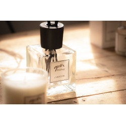 Auto-diffuseur L'origine Pénélope