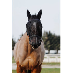 Licol + masque Equithème Noir
