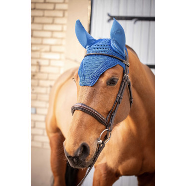 Bonnet Prems Paddock Sports Bleu roi