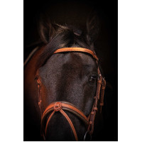 Bridon Pénélope Elégance