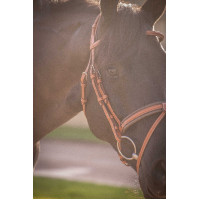 Bridon Pénélope Elégance