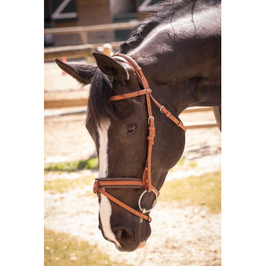 Bridon Pénélope Elégance Cognac Marron