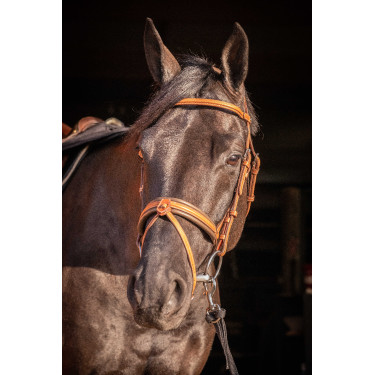 Bridon Pénélope Elégance Cognac Marron