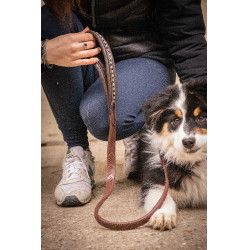 Laisse chien Pénélope Rubber Havane Marron