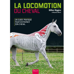 La Locomotion du Cheval