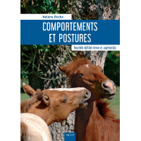 Comportements et postures