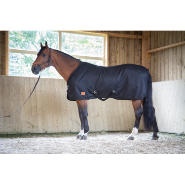 Chemise Paddock Sports Coton Mesh