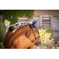 Bonnet Paddock Sports Pro Coton long Bleu marine