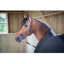 Chemise Paddock Sports Light Mesh Noir Chemise Paddock Sports Light Mesh Noir