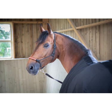 Chemise Paddock Sports Light Mesh Noir Chemise Paddock Sports Light Mesh Noir