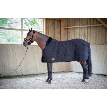 Sous-couverture Paddock Sports Underblancket Noir