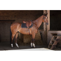 Collier de chasse Eric Thomas Hybrid Havane Marron