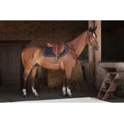 Collier de chasse Eric Thomas Hybrid Havane Marron