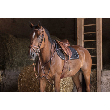 Collier de chasse Eric Thomas Hybrid Havane Marron