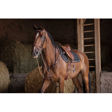 Collier de chasse Eric Thomas Hybrid Havane Marron