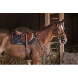 Collier de chasse Eric Thomas Hybrid Havane Marron