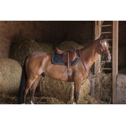 Collier de chasse Eric Thomas Hybrid Havane Marron