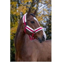 Licol Norton Confort Framboise Rouge