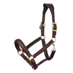 Licol LeMieux Anatomic