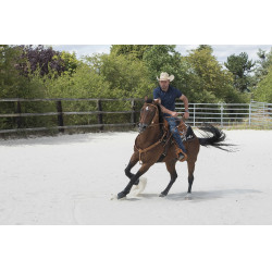 Selle Westride by Franck Perret Aurora Noisette Marron