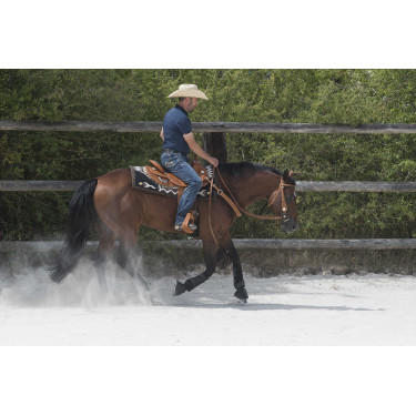 Selle Westride by Franck Perret Aurora Noisette Marron