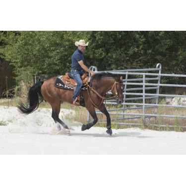 Selle Westride by Franck Perret Aurora Noisette Marron