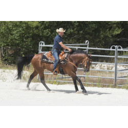 Selle Westride by Franck Perret Aurora Noisette Marron