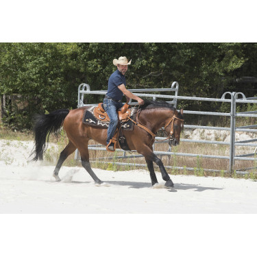 Selle Westride by Franck Perret Aurora Noisette Marron