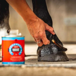 Huile pour sabots Carr & Day & Martin Hoof Dressing Cornucrescine Huile pour sabots Carr & Day & Martin Hoof Dressing Cornucrescine