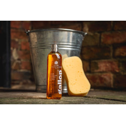 Shampoing Gallop® Carr & Day & Martin Noisette et palomino