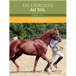 101 exercices au sol