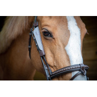 Oeillères australiennes Pénélope