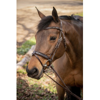 Bridon Pénélope Smoothie Havane Marron