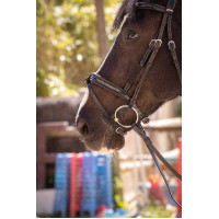 Bridon Pénélope Smoothie Havane Marron