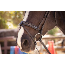 Bridon Pénélope Smoothie Noir