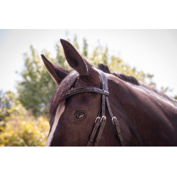 Bridon Pénélope Smoothie Noir