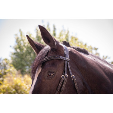 Bridon Pénélope Smoothie Noir