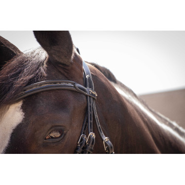 Bridon Pénélope Smoothie Noir